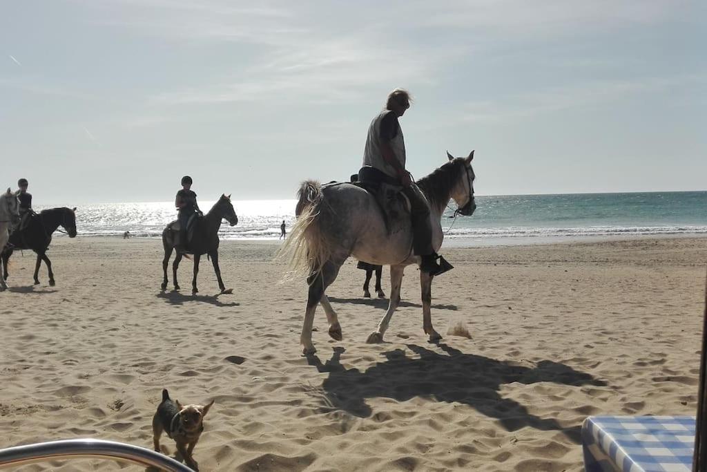 Corazon De Conil Apartment โกนิล เด ลาฟรอนเตรา ภายนอก รูปภาพ