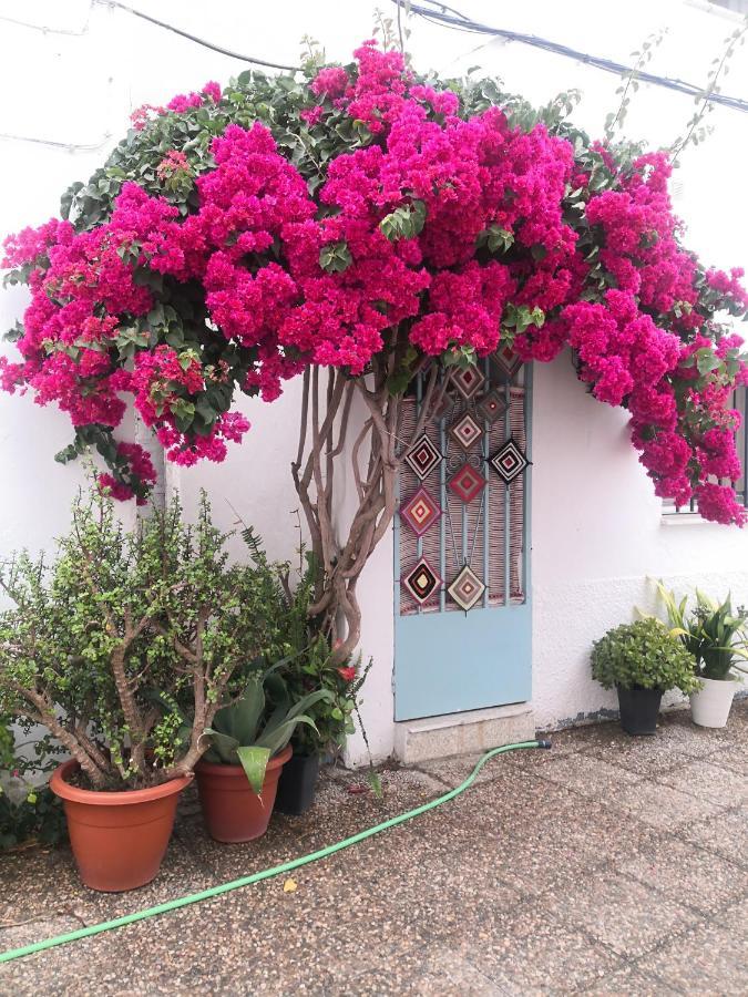 Corazon De Conil Apartment โกนิล เด ลาฟรอนเตรา ภายนอก รูปภาพ