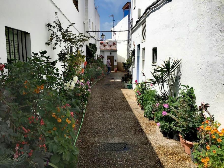 Corazon De Conil Apartment โกนิล เด ลาฟรอนเตรา ภายนอก รูปภาพ