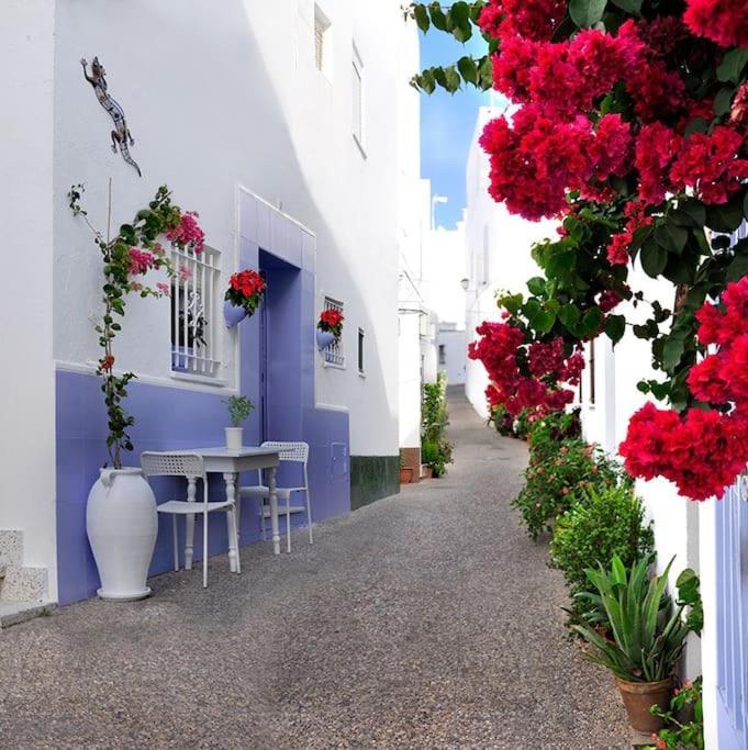 Corazon De Conil Apartment โกนิล เด ลาฟรอนเตรา ภายนอก รูปภาพ