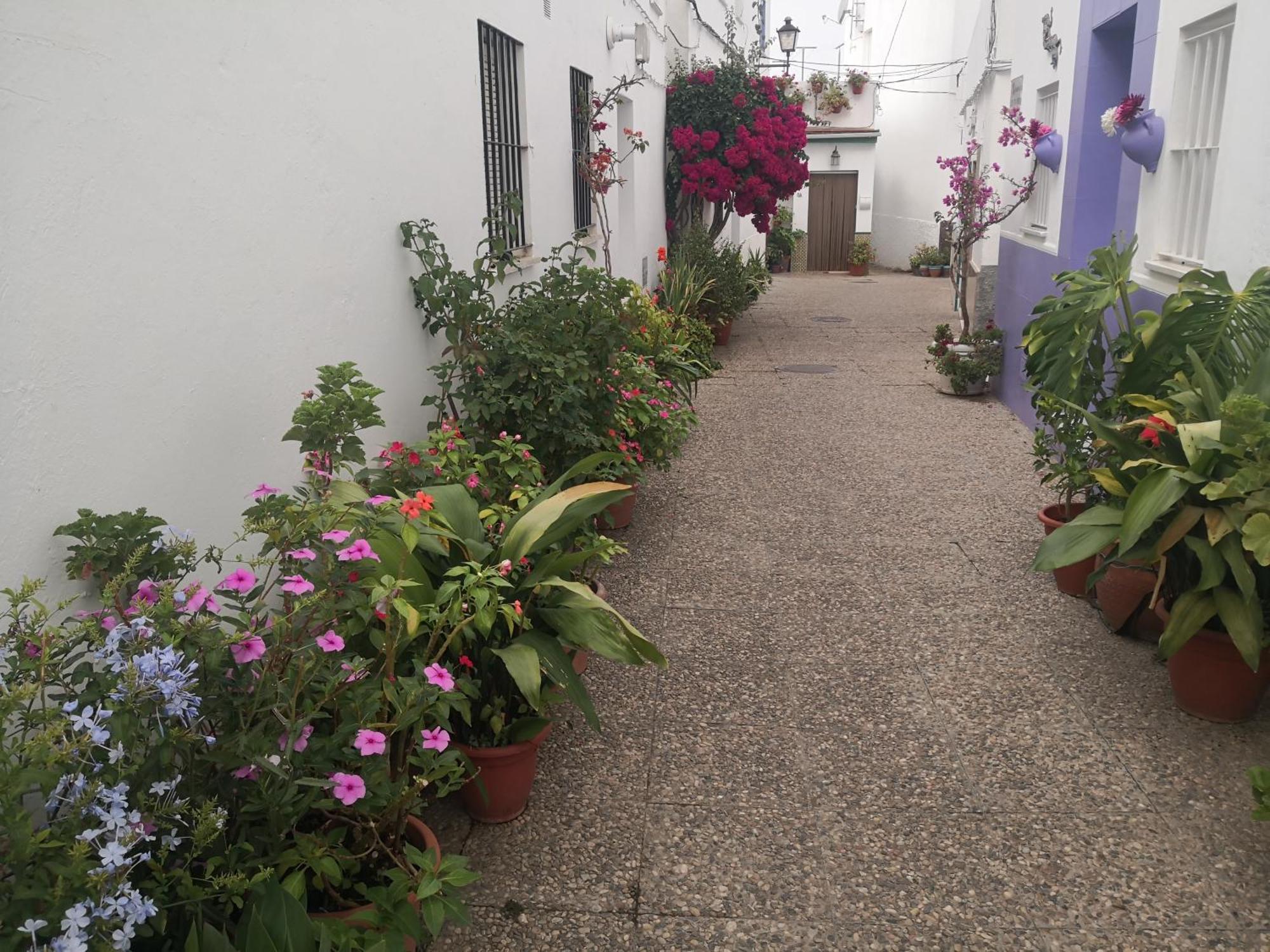 Corazon De Conil Apartment โกนิล เด ลาฟรอนเตรา ภายนอก รูปภาพ