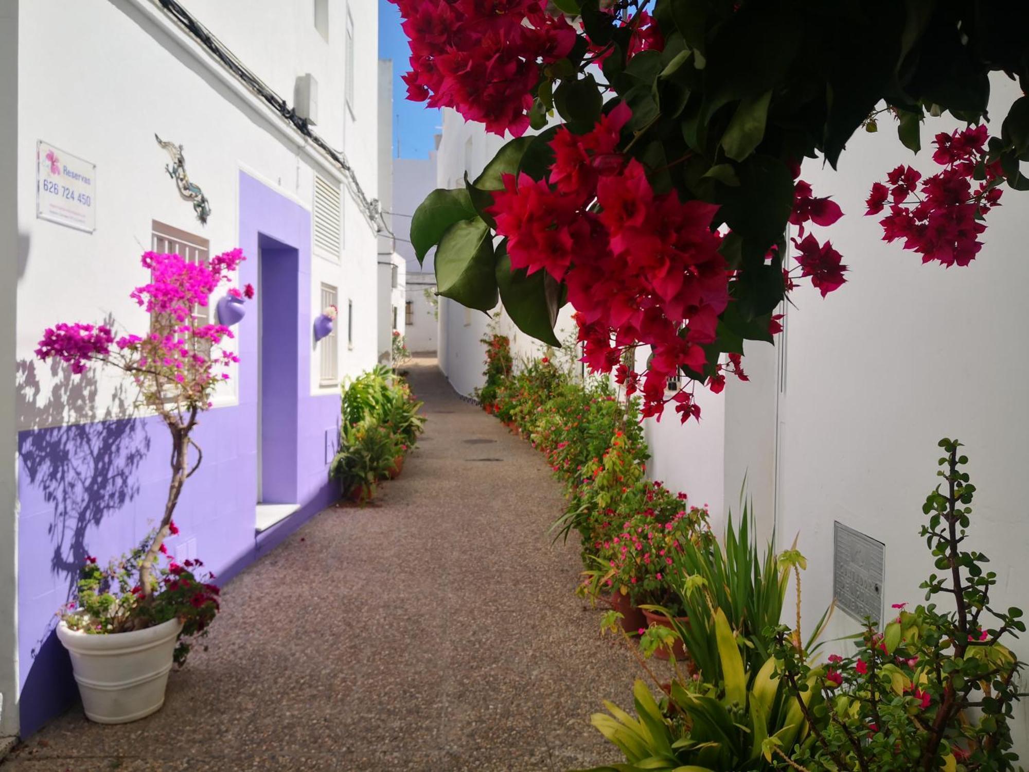 Corazon De Conil Apartment โกนิล เด ลาฟรอนเตรา ภายนอก รูปภาพ